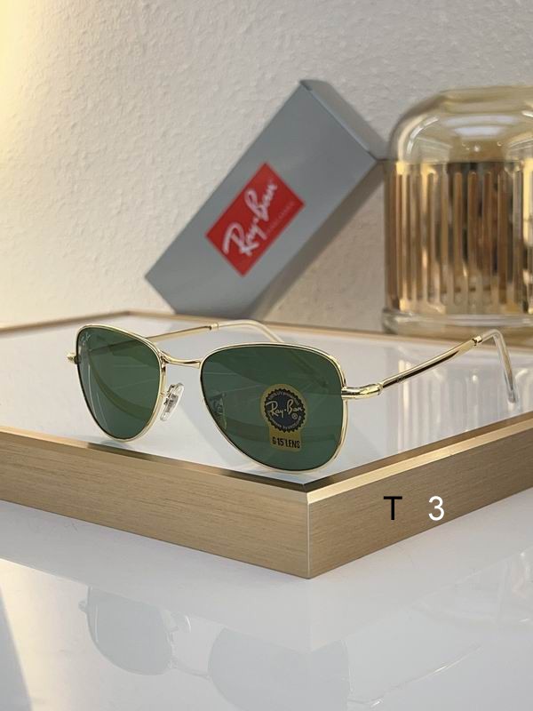 RayBan Sunglasses ID:20240804-461